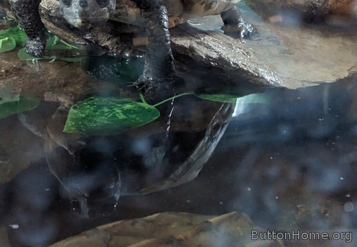 PXL 20250320 202655359