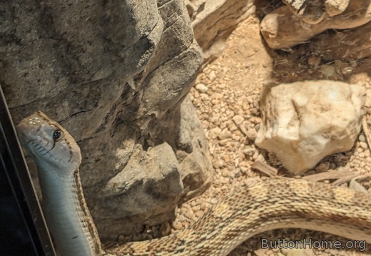 PXL 20250320 203030637