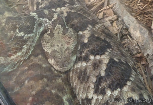 PXL 20250320 203117620