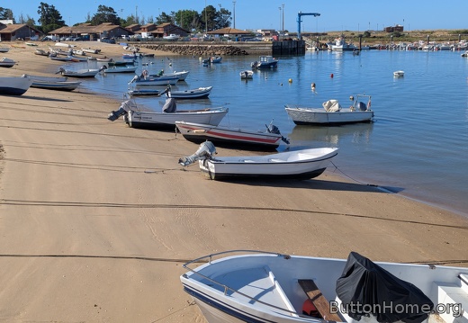 morning at low tide