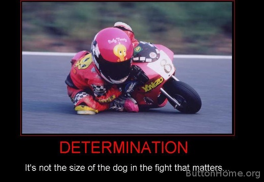determination