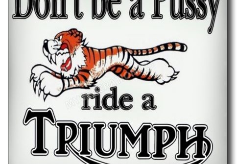 triumph pussy