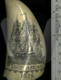 Ship Abigail carved onto a whale bone